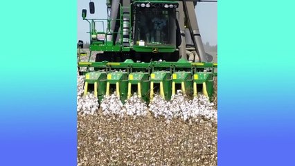 Oddly Satisfying Video   Relaxing Scenes & Calming Music You Will Enjoy