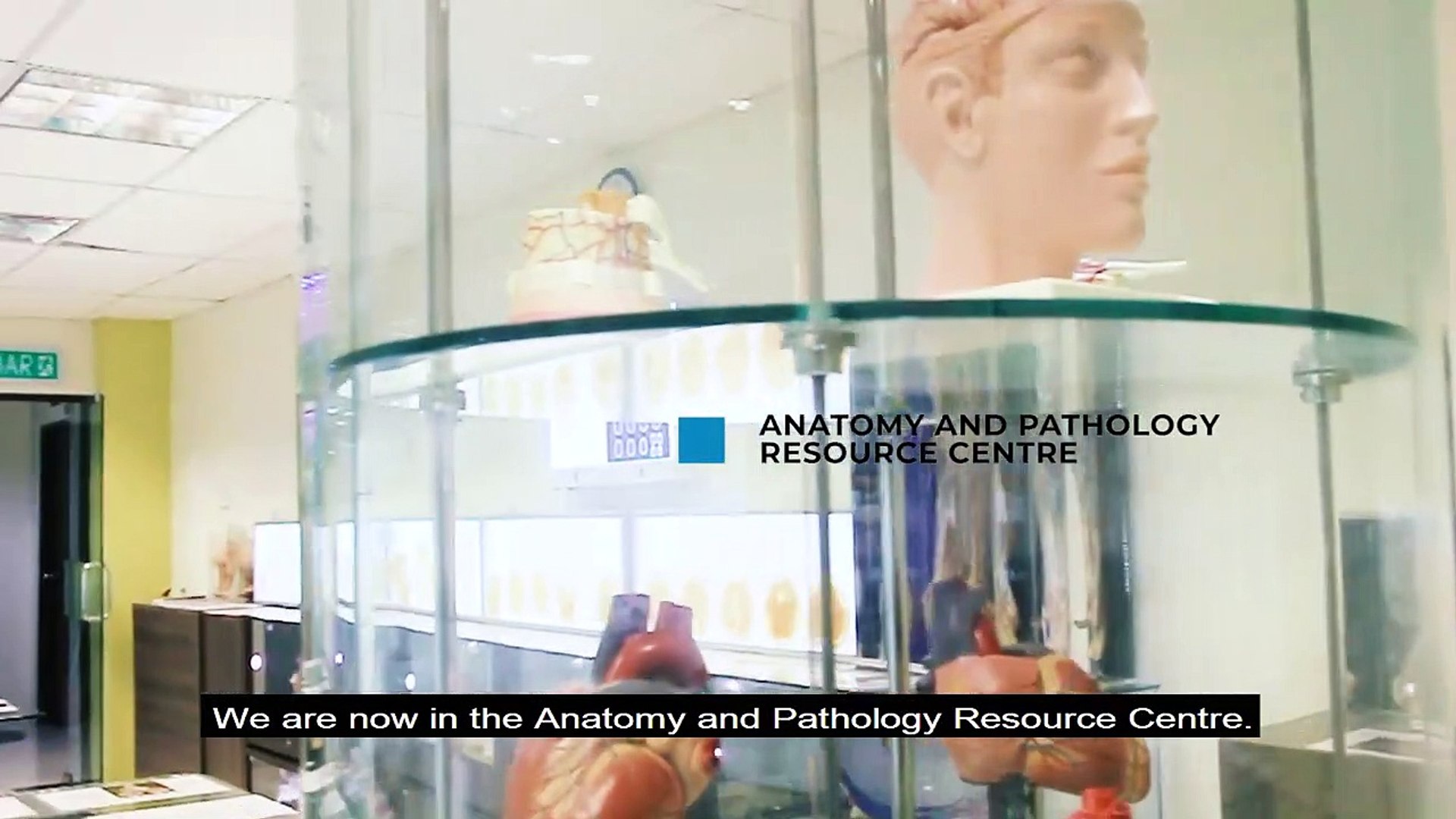 A Day In The Life of a QIU Medical Student