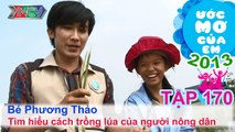 Các dân tộc anh em ở TPHCM - Nguyễn Đoàn Quỳnh Anh | ƯỚC MƠ CỦA EM | Tập 170