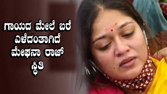 ಸುಳ್ಳು ಸುದ್ದಿ ಹಬ್ಬಿಸುತ್ತಿರುವವರ ಮೇಲೆ ಕೋಪಗೊಂಡ ಮೇಘನಾ ರಾಜ್ ಸರ್ಜಾ | Filmibeat Kannada