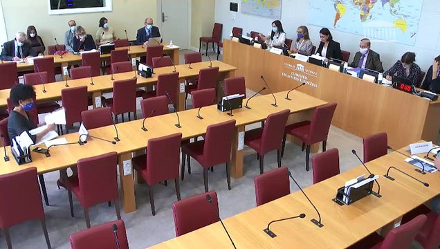Commission des affaires étrangères : Restitution de biens culturels à la République du Bénin et à la République du Sénégal - Mercredi 23 septembre 2020