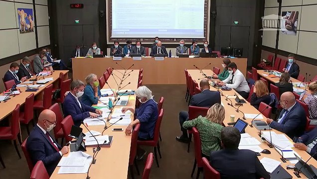 Commission des affaires économiques : Conditions de mise sur le marché de certains produits phytopharmaceutiques en cas de danger sanitaire - Mercredi 23 septembre 2020