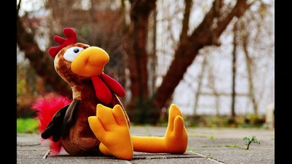 English Synonyms and Antonyms, Section 63: Taciturn to Time