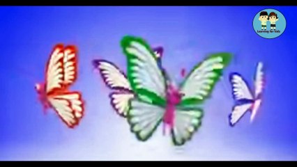 titli hoon main titli hoon |Nursery Rhymes & Kids Songs