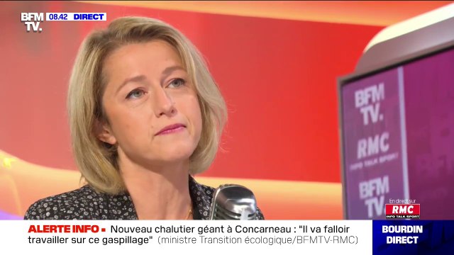 Néonicotinoïdes: Barbara Pompili assure avoir interdit plus de 90% des usages, ce qui est énorme