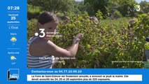 La matinale de France Bleu Saint-Étienne Loire du 25/09/2020