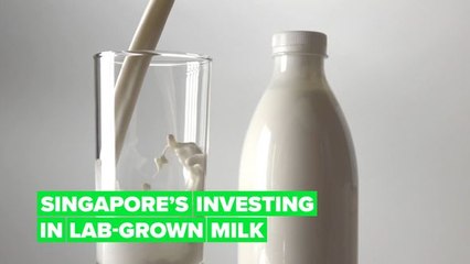 Singapore’s making sure it never runs out of milk or shrimp!