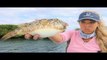 This Fish Can KILL YOU...Catch Clean Cook- Checkered Puffer Fish