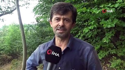 Bursa'da kestane hasadı başladı