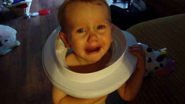 Try Not To Laugh Babies Trouble Maker And Fail Funny Babies And Pets