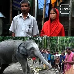 Bangladesh Man Sells Land To Fulfill Wife's Desire