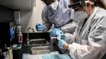Cuomo to Form Task Force to Test Coronavirus Vaccine