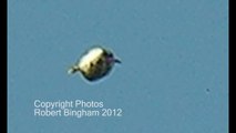 UFO Sightings Pasadena California Strange and Unusual UFOs Photos and Video! April 11 2012