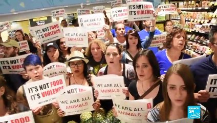 France's 'climate changers': Meet the budding activists fighting for a better world