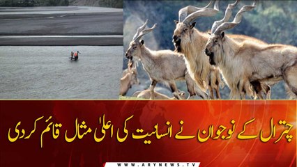 Boy in Chitral saves life of a Markhor