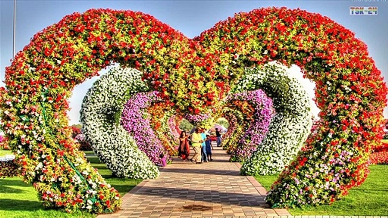 Dubai Miracle Garden 2018