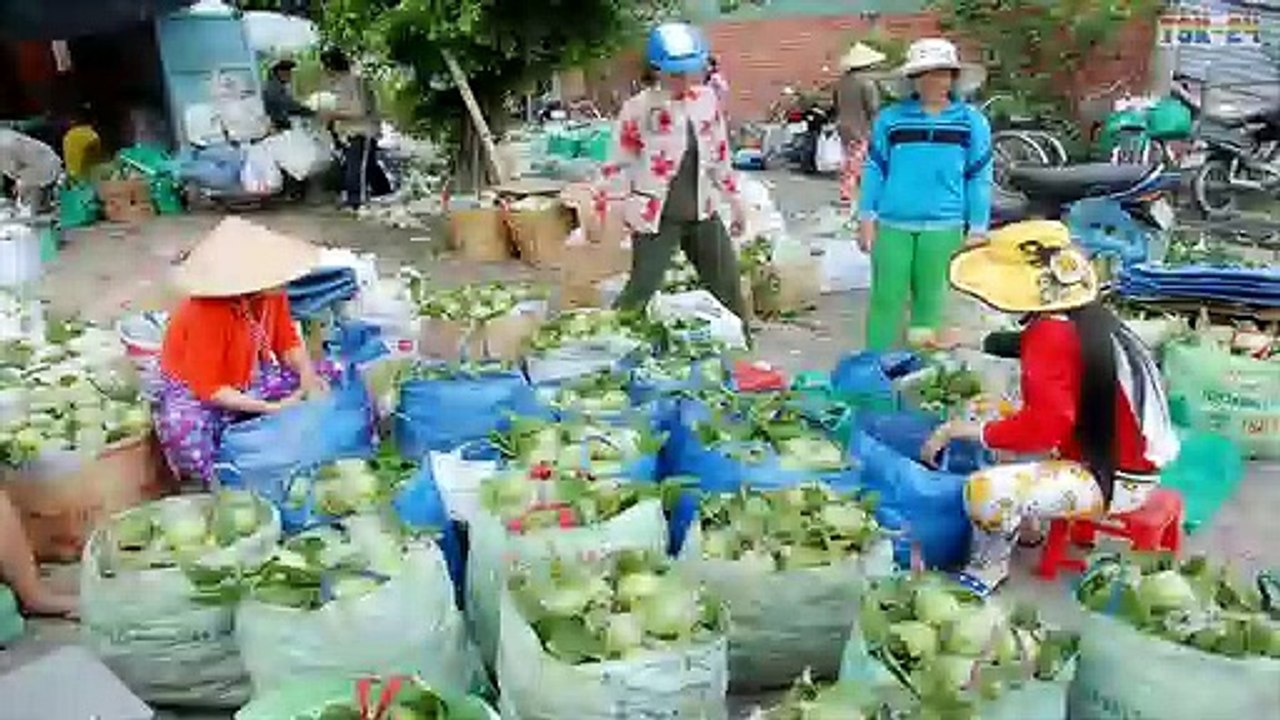 WOW! Amazing Agriculture Technology - Guava