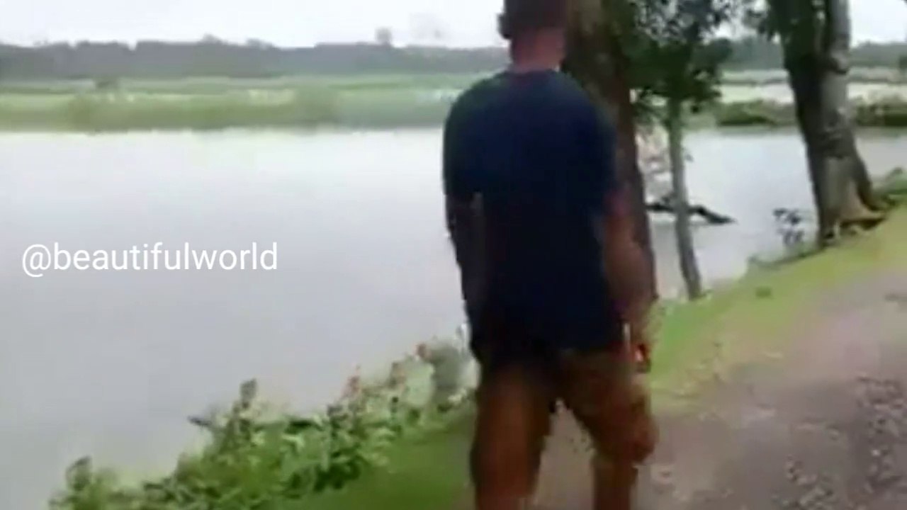 Most Funny video 2020