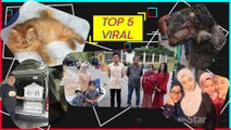 Top 5 Viral: Terkejut jumpa tikus gergasi dalam parit, remaja gementar dapat jumpa Tengku Hassanal