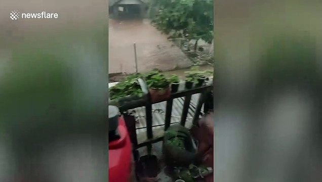 Dramatic moment two brothers are rescued from flash floods in Indonesia