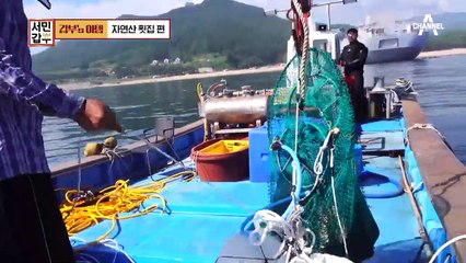 [갑부's 아템] 연매출 6억 머구리 횟집! 사장님이 직접 잡은 자연산 해물이 가득♥