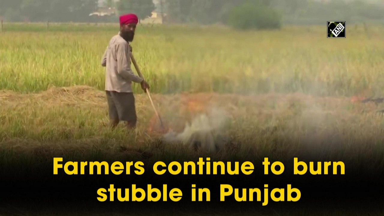 Farmers continue to burn stubble in Punjab video Dailymotion
