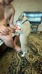 Cat Stands to Enjoy Some Yogurt