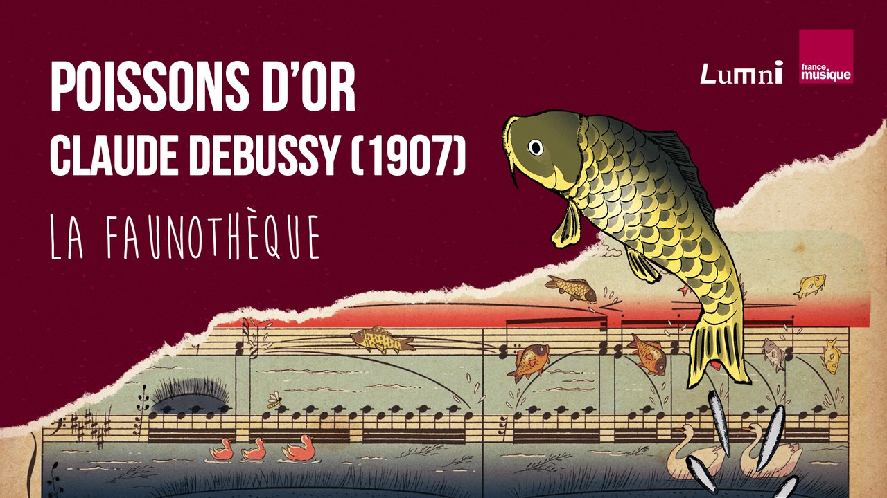 Debussy : Poisson d'or - La Faunothèque