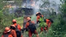 Rekord-Waldbrände wüten in Kalifornien - auch im Weinanbaugebiet Napa Valley