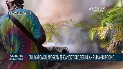 Dua Warga Dilaporkan Terjangkit DBD, Sejumlah Rumah Difogging