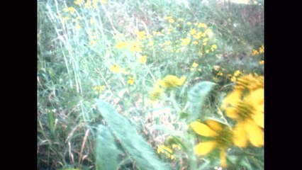 Schlaf, Kindlein, Schlaf sleep, baby sleep