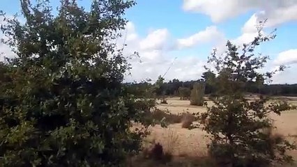 Patou, Rosendael Heath, 25. Sept, 2020