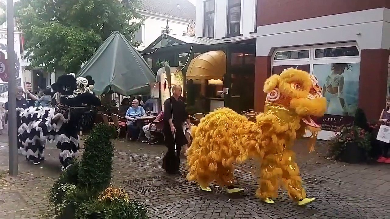 Vegesacker Festumzug 2017 - Teil 3