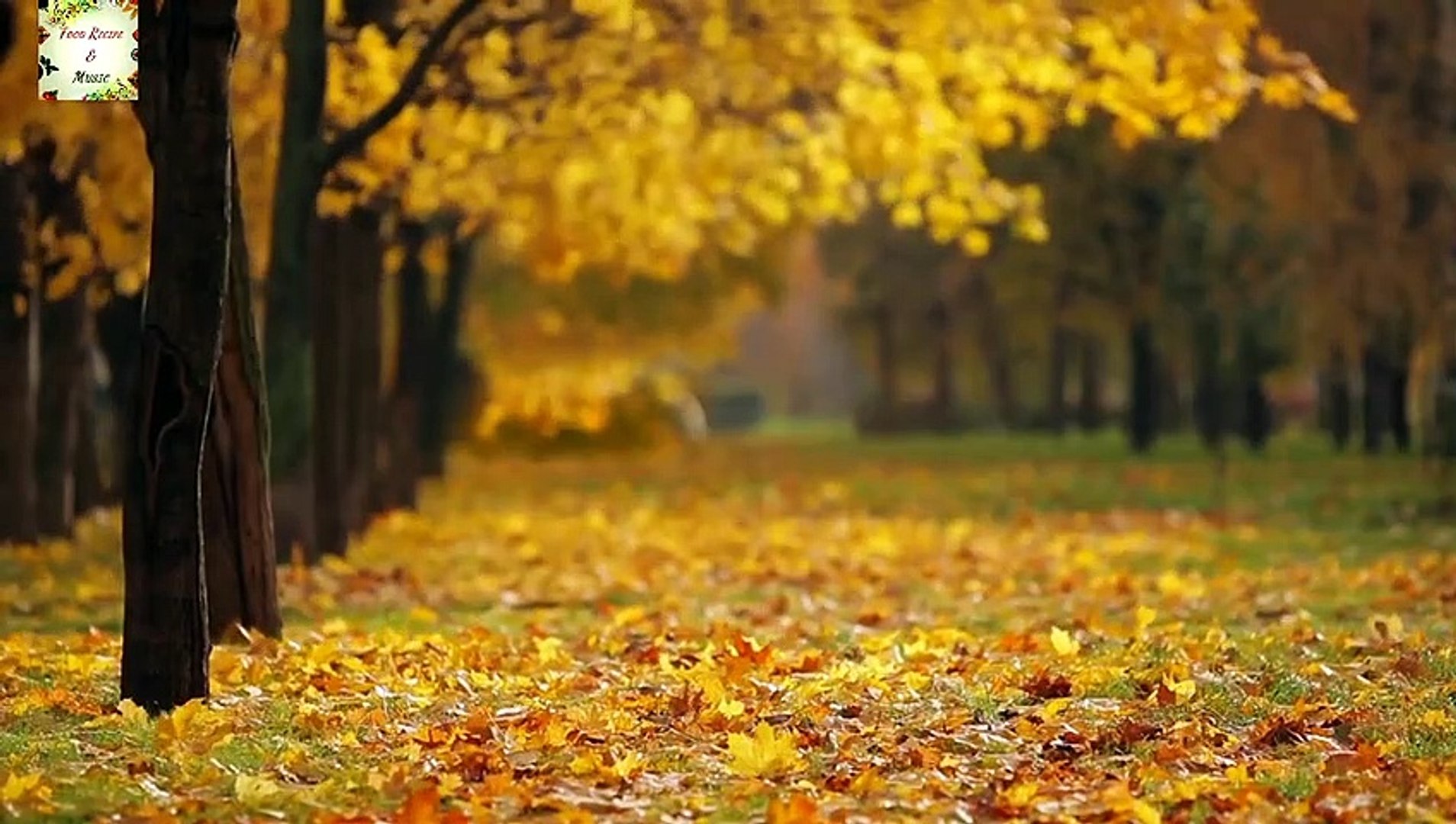 calm music | Calming Music | Stress Relief Music