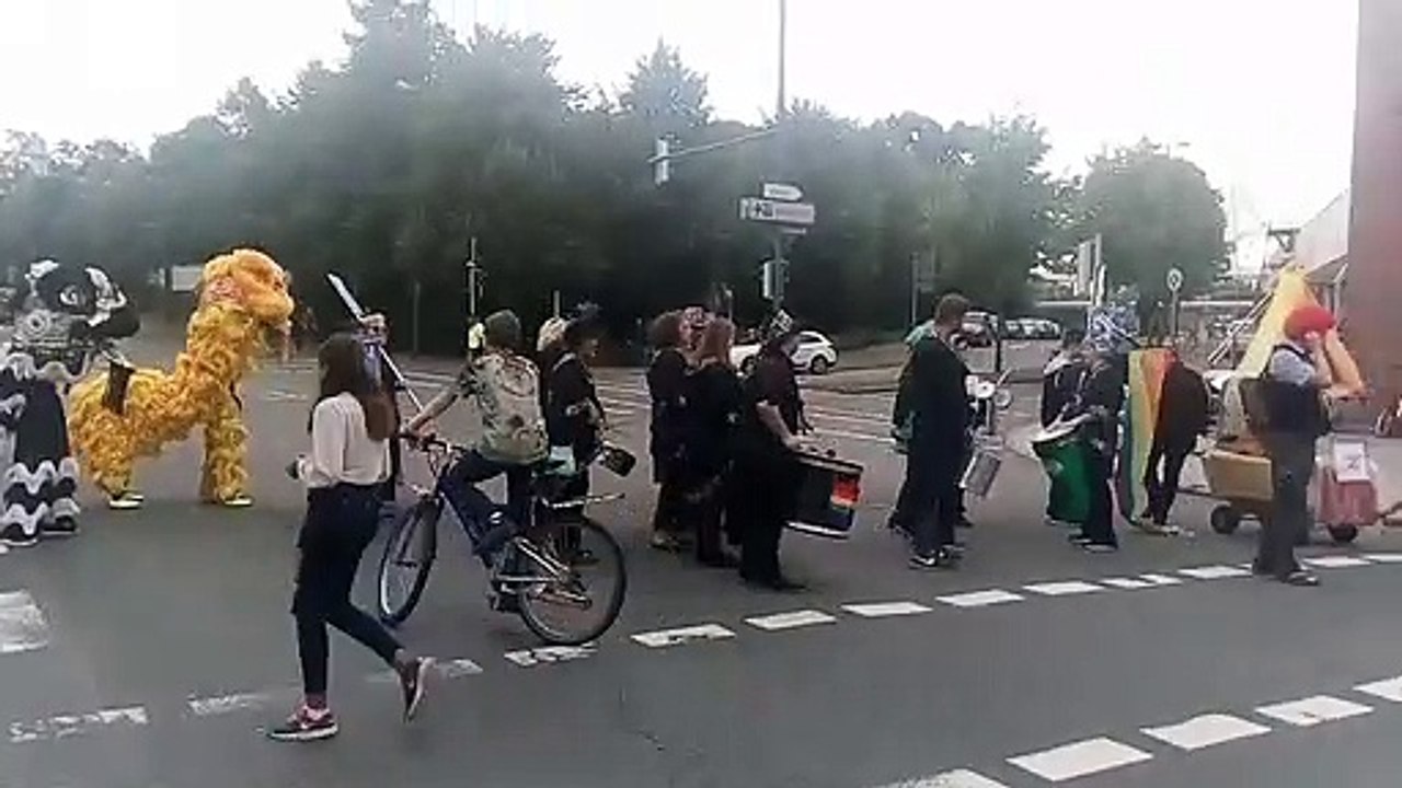 Vegesacker Festumzug 2017 - Teil 4