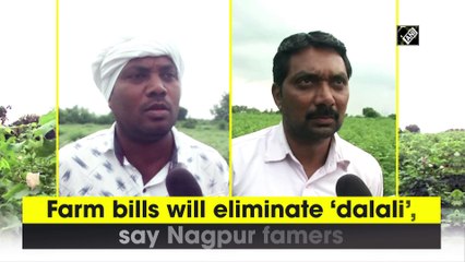 Farm bills will eliminate ‘dalali’, say Nagpur famers