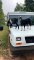 Curious Goats Greet Morning Mail Carrier