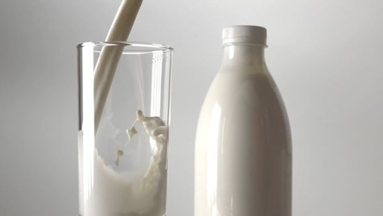 Singapur und vegane technologie start-ups