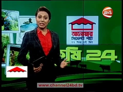 মিষ্টি আলু বা রাঙা আলুর পুষ্টিগুণ. Nutritional value of sweet potato or red potato.