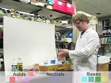 Colorful Chemistry of Acids and Bases