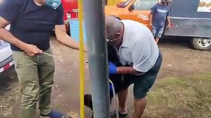 Perrita se reencuentra con su dueño tras varios días separados por el Covid-19