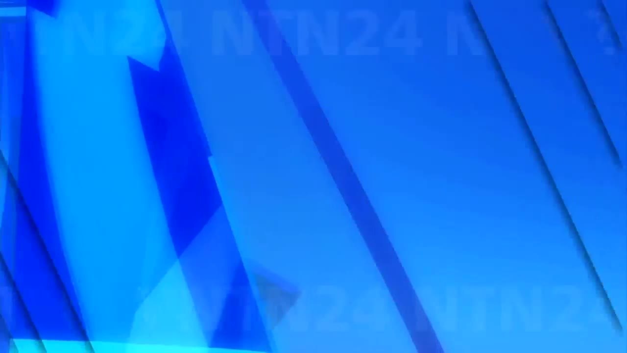 Tierno avistamiento de osos de anteojos en las montañas de Cundinamarca