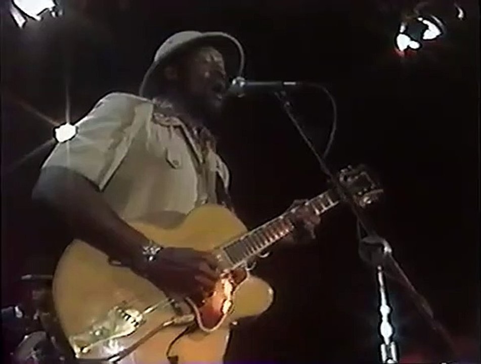 Taj Mahal - Maintenance Shop Blues (1981)