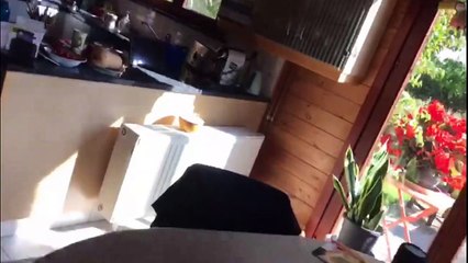 happy 60th birthday mum