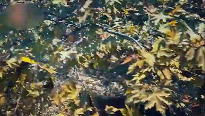 Kuruluş Osman'ın yeni sezon 2. fragmanı nefes kesti! Savaş sahnesi büyük beğeni topladı