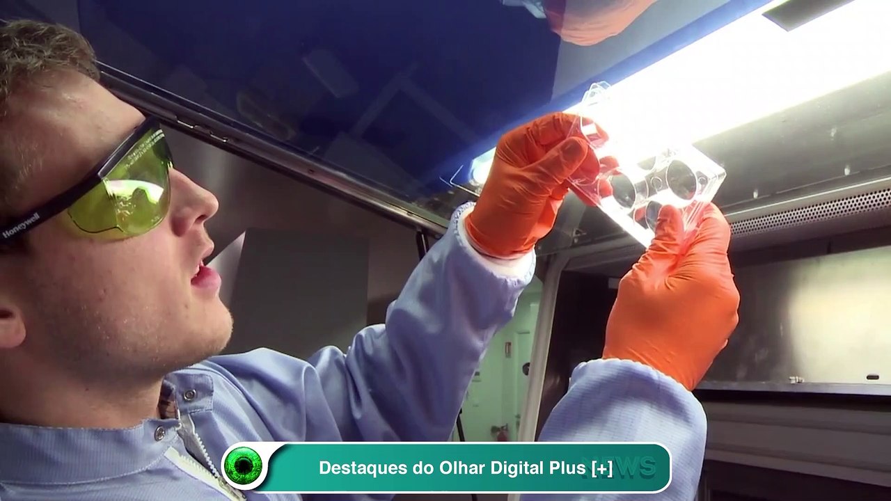 Destaques do Olhar Digital Plus [+]