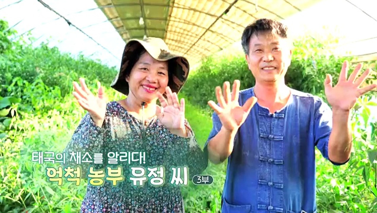 [하모니] 태국의 채소를 알리다! 억척 농부 유정 씨 - 3부