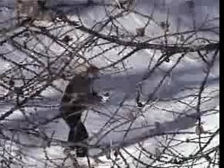 Ski  Saint Léger Pato Isa