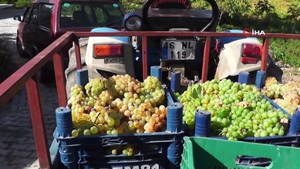 Kahramanmaraş’ta ‘Şıra’ telaşı