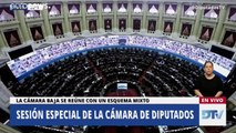 Escándalo en Argentina: un diputado besa el pecho de su pareja  en plena sesión parlamentaria
